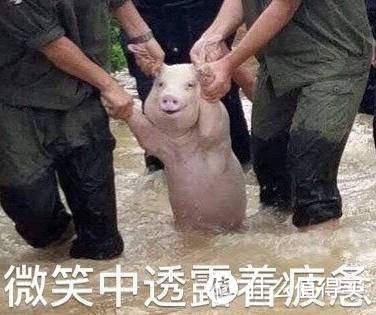 有了它，黑暗料理师秒变厨艺达人，美的PG2310微蒸烤料理炉测评