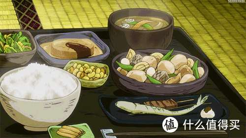 居家干饭好伙伴|东芝石窑水波炉XD90